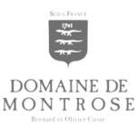 DOMAINE DE MONTROSE LOGO